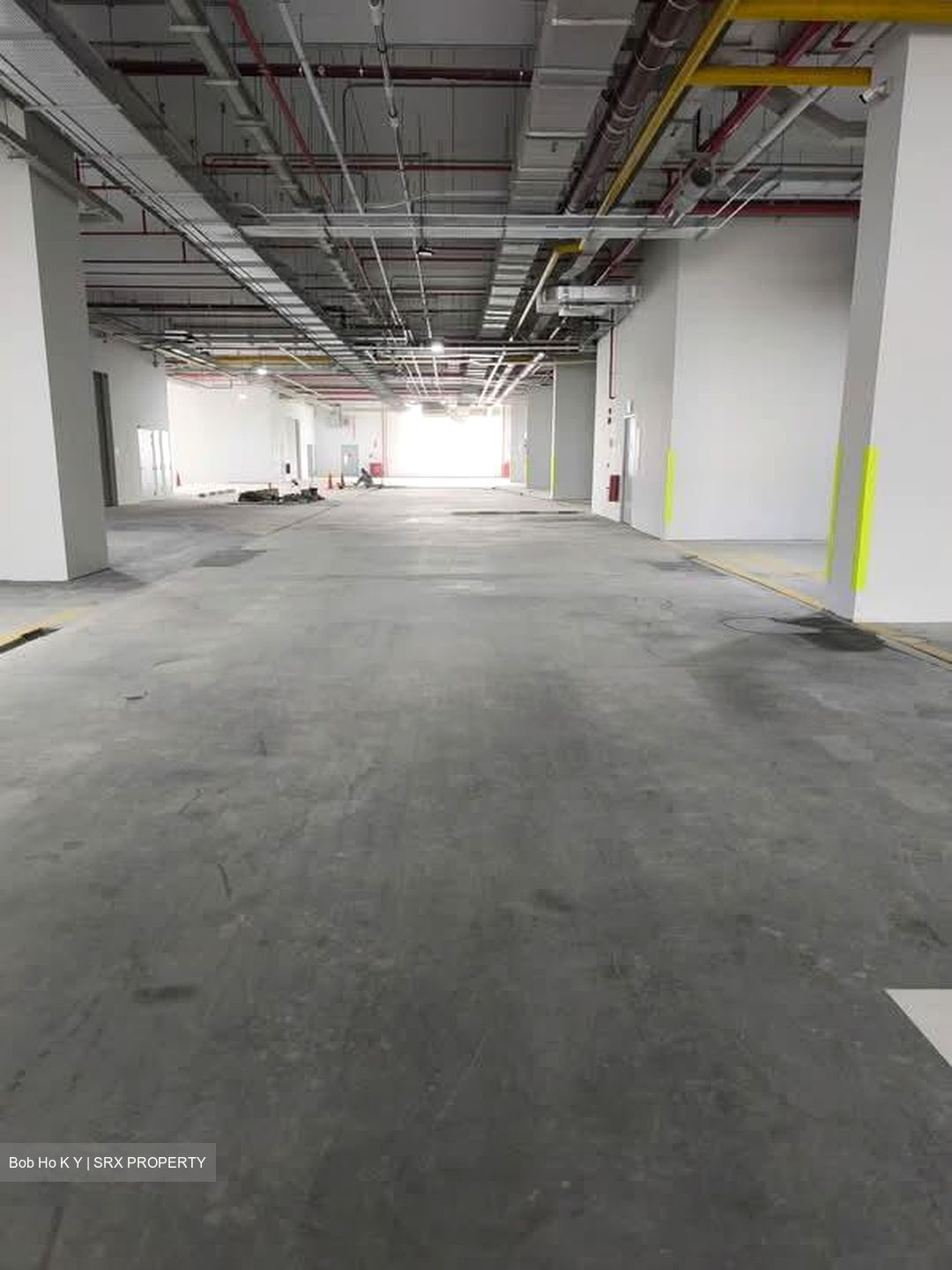 Ct Foodnex (D25), Factory #576609961
